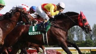 タツゴウゲキ号が競走馬登録抹消