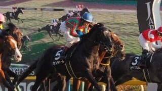 グァンチャーレ号が競走馬登録抹消