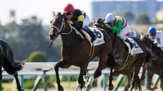 【武豊日記】初めて経験する出来事