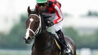 牝馬２頭が有力視されるシンザン記念。朝日杯FS組が人気の盲点を突く