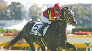 【シンザン記念】枠順と見どころ ルーツドールは8枠9番