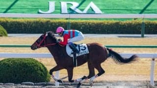 【京都4R】武豊タマモツワモノが2勝目！