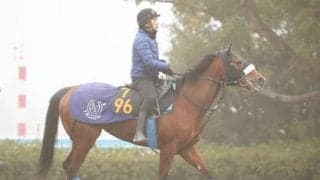 フェアリーＳはビッグなお年玉の好機。未勝利、新馬勝ち３頭に福がある