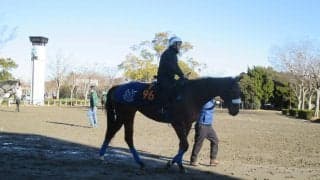 【フェアリーS】ダイワクンナナ 母ダイワスカーレットの良血開花となるか