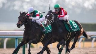 【シンザン記念】サンクテュエールがV！関東から本気の遠征で渾身の最内強襲