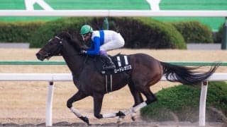 【雅S】これは強い！武豊ロードレガリスが5馬身差の圧勝！