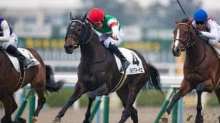 【新馬/京都6R】アルテフィーチェが逃げ切りデビューV！