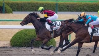 【新馬/京都4R】エイシンシャンツェがデビューV！半兄にエイシンバッケン