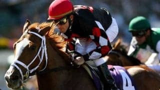 １億9500万円の高値で落札。サトノレガシーは「馬格があって乗りやすい」