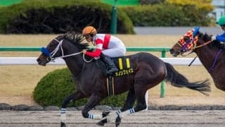 【すばるS】4番人気ダノンフェイスが久々の勝利！