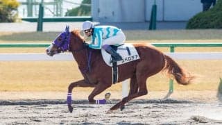 【新馬/京都3R】武豊スペロデアがデビューV！