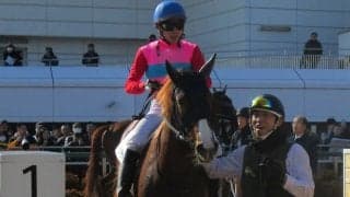 【新馬/中山4R】トゥザグローリー産駒 ペイシャチャームがデビューV！