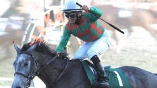 WIN5で3億9000万円超！ビッグなお年玉が的中したのはたった1票