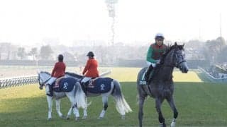 【フェアリーS】前年比大幅アップ！スマイルカナが逃げ切り！