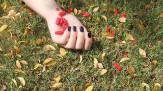 韓国のアイドルたちは、なぜ自殺を選ぶのか？