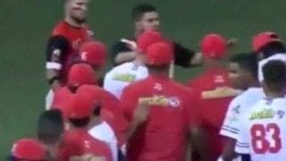 バットで捕手殴り20試合出場停止　ベネズエラの前代未聞の大乱闘劇で