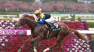 そろそろ荒れそうな京成杯。穴党記者が自信を漲らせる「４頭の穴馬」