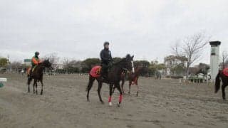 【京成杯】ビターエンダー 相沢師「中山も合いそう」