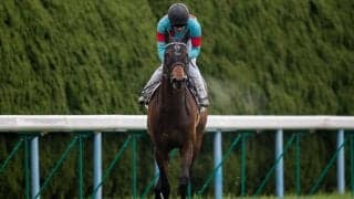 【新馬/小倉5R】ワールドエース産駒 スペードエースがデビューV！