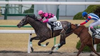 【京都8R】武豊スマートランウェイが逃げ切りで2勝目を飾る