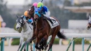 【新馬/京都6R】6億円ホースがデビューV！武豊騎乗のアドマイヤビルゴが抜け出す