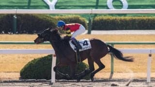 【京都2R】豊マジック炸裂！ワールドウインズが初勝利