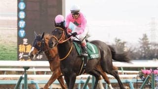 【京成杯】クリスタルブラックが勝利！売り上げ入場人員共に微減