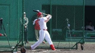 絶対的主砲・鈴木誠也ほか広島東洋カープのV奪還への戦いが本格始動！ 