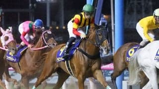 ラビットラン号が競走馬登録抹消