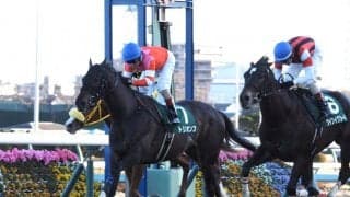 トリオンフ号が競走馬登録抹消