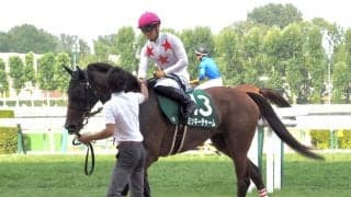 ミッキーチャーム号が競走馬登録抹消