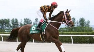 東海Ｓは１番人気が断然も、過去の激走馬と共通する穴馬が好配当を生む