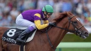 今週の武豊騎手騎乗馬