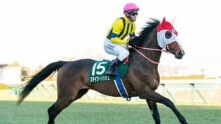 AJCCは大胆な乗り替わりで勝負気配漂う「善戦マン」の大駆けにご用心