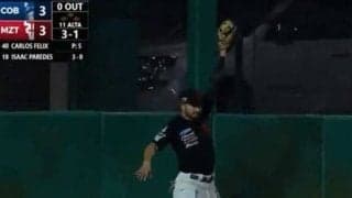 フェンスをよじ登ってジャンプ！　メキシコWLでスパイダーマンのような本塁打強奪