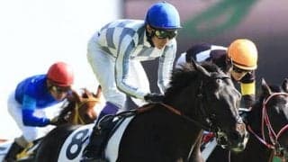 良血ヴェルズネイ。「走る馬特有のバネがある」と名門厩舎が高評価