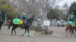 【AJCC】ウラヌスチャーム 斎藤誠師「中山は得意」