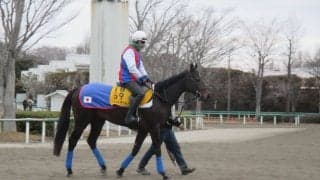 【AJCC】ラストドラフト 実績ある中山で復活なるか