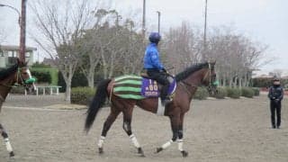 【AJCC】ブラストワンピース 大竹師「どれだけ絞れてくるか…」