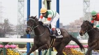 【若竹賞】シーズンズギフトが人気に応えてデビュー2連勝！