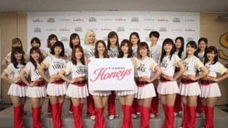鷹「ハニーズ」2020年メンバー発表　元ビール売り子ら美女揃いの20人