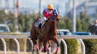 【川崎5R】ミシェルが南関東初勝利！ベルロビンを勝利に導く