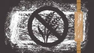 医師に聞くグルテンフリーのメリットとデメリット