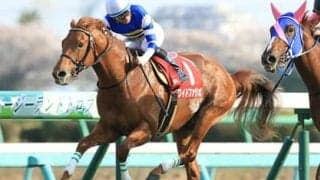 根岸Ｓを穴党記者が吟味。実力馬４頭が人気の盲点、美味な馬券となる