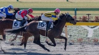 【新馬/東京2R】武豊騎乗のエヴァジョーネがデビューV！