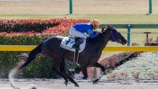 【東京4R】武豊ロンゴノットが2勝目を飾る