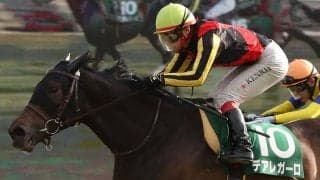 デアレガーロ号が競走馬登録抹消