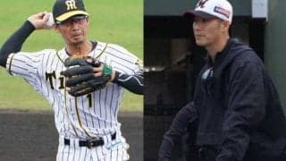 鳥谷敬、西岡剛、新庄剛志らの“電撃”復帰はあるか？　NPBを目指す男たちの球春