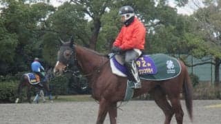 【シルクロードS】セイウンコウセイ メンバー唯一のG1ホースで底力は侮れず