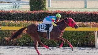 【東京8R】武豊騎乗のフローラルパークが3勝目！